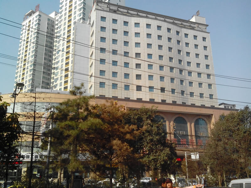 陕西咸阳湖滨大酒店抵押项目